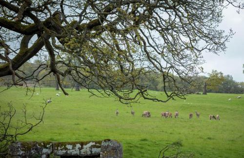 Baslow Casa | Stag Shepherds HutChatsworth Estate