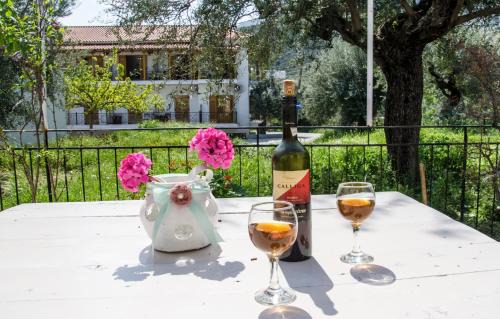 Poulithra Casa | Stam House