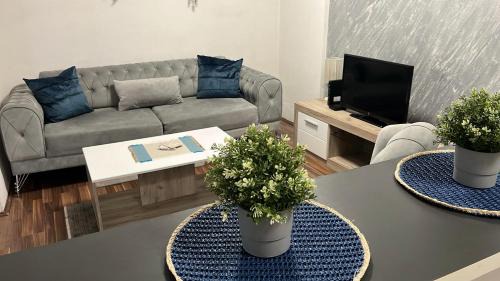 Bele Vode Apartamento | Stan ARS