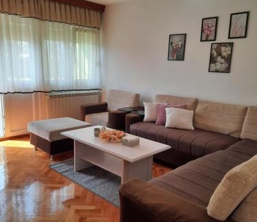 Vrsac Apartamento | Stan na dan DUNJA 1