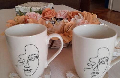 Vrsac Apartamento | Stan na dan DUNJA 1