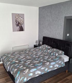 Vrsac Apartamento | Stan na dan DUNJA 2
