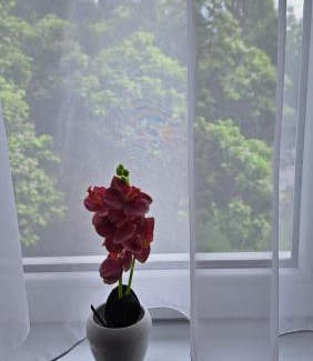 Cukarica Apartamento | Stan na dan SISTERS