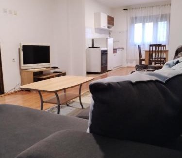 Cacak Apartamento | Stan na dan Vanja