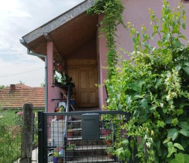 Zajecar Apartamento | Stancic 019