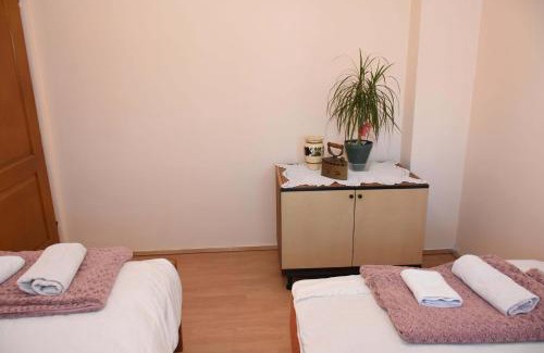 Zajecar Apartamento | Stancic 019