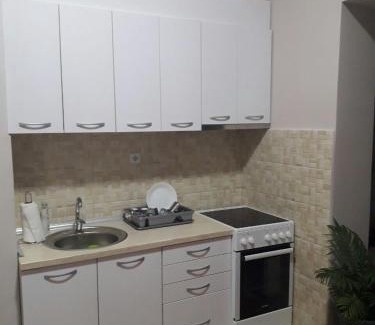 Vranje Apartamento | Stankovic Apartman