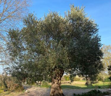 Budrio Casa | Stanza in Villa in mezzo al verde, vicino Bologna Via Erbosa 1B Budrio 40054