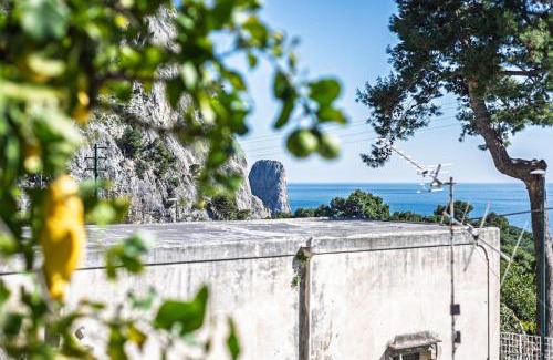 Marina Piccola Apartamento | Stanza panoramica in Villa Argentina