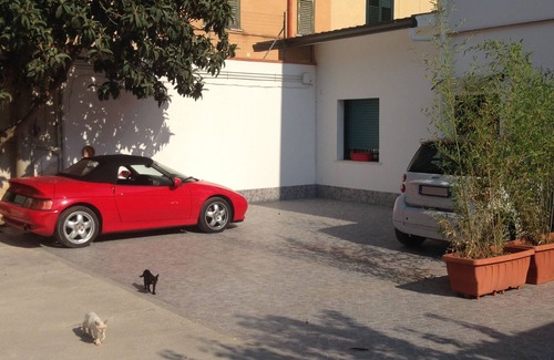 Palermo Casa | Stardust Home. Relax y confort. Wifi gratuito y piscina