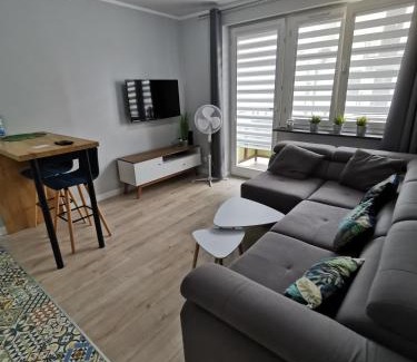 Glogow Apartamento | Stare Miasto