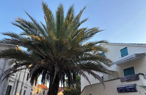 Veli Losinj Apartamento | Starfish Studio Apartment, Veli Lošinj, Croatia