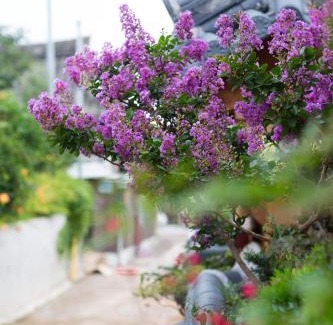 Jeonju Casa | Starlight Rest Area