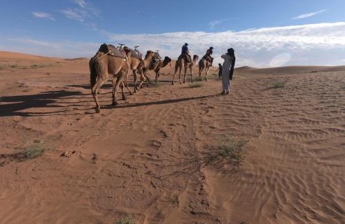 M'Hamid El Ghizlane Otro | Starlit Desert Camp