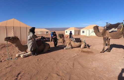 M'Hamid El Ghizlane Otro | Starlit Desert Camp