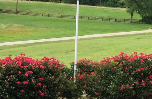 Buffalo Otro | Stately Loghouse w/Private Hot Tub, and Fishing Pond on 90 Acre Ranch