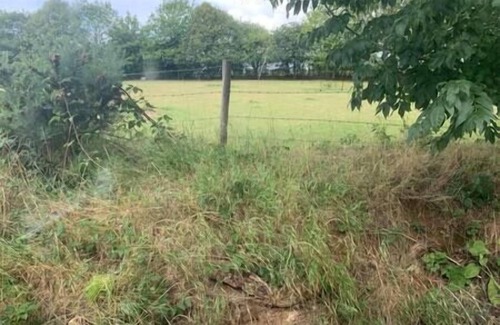 Cuddesdon Casa | Static Mobile home set in our 20 acres of farmland