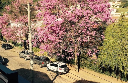 Comiteco Casa | Stay 5 minutes away downtown!