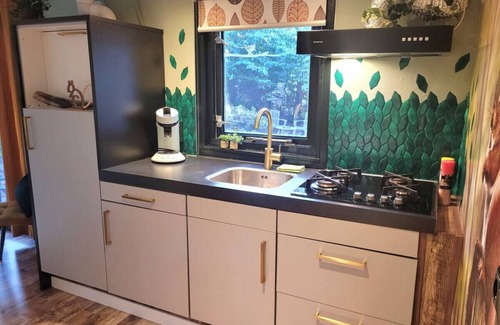 Hattemerbroek Cabina | Stay amidst nature in the Hunter's Cabin