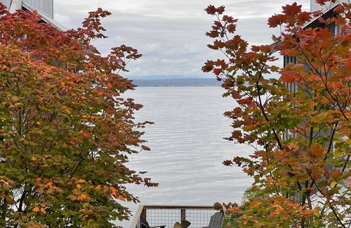 Langley Condominio | Stay Inn LANGLEY on WHIDBEY ISLAND BEAT THE WINTER BLUES ENJOY 2ND NIGHT ON US!!