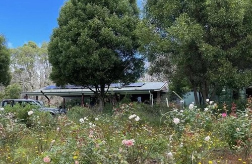 Sassafras Cabina | Stay on the escarpment, rural retreat, forest bathe, stargaze, amazing views