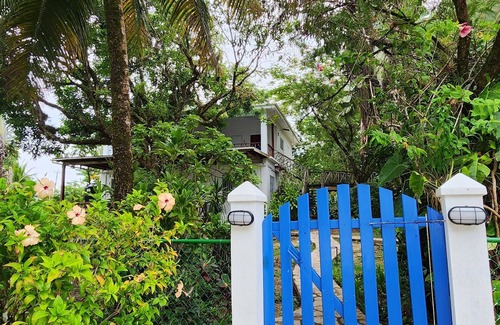 Forest Home Apartamento | Stay, relax and explore in Seastar, our tropical oasis by the Caribbean Sea.