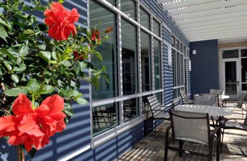 St. Petersburg Hotel | Staybridge Suites St. Petersburg FL by IHG