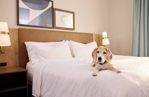 Tucson Hotel | Staybridge Suites Tucson Airport by IHG