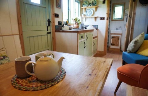 Sampford Brett Cabina | Steam & Stars Luxury Glamping -Willow shepherd hut
