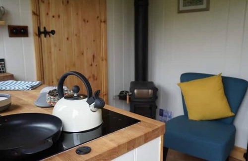 Sampford Brett Cabina | Steam & Stars Luxury Glamping -Willow shepherd hut