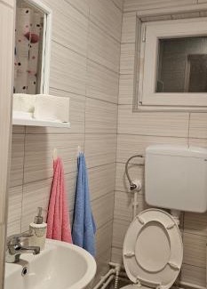 Stara Planina Apartamento | Stefanović - Studio 1