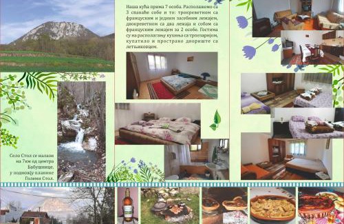 Central Serbia Casa | Stefanovića kuća