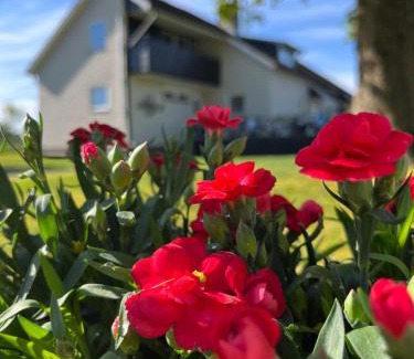 Ljungby Cabina | Stegemans Horse hotel and Country Lodge