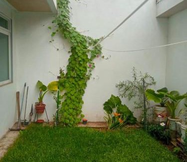 Jacobo Hunter Casa | steliv