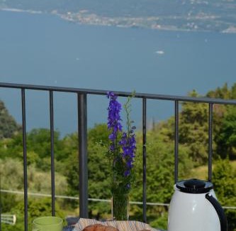 Pieve Hotel | Stella D'Oro - Hotel & Apartments