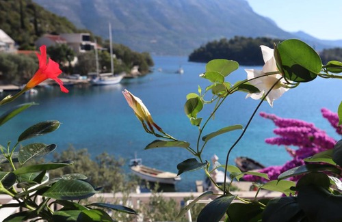 Cove Tri Zala (Zrnovo) Apartamento | Stella Maris