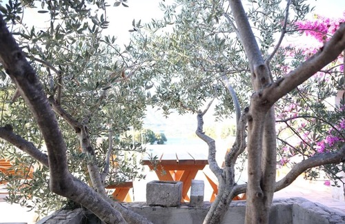 Cove Tri Zala (Zrnovo) Apartamento | Stella Maris