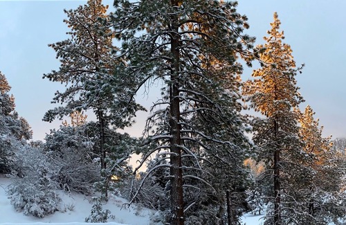 Wrightwood Casa | Stellar Jay Suite