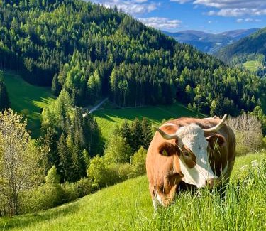Rennweg am Katschberg Otro | Stellplatz mit Aussicht auf Bergbauernhof