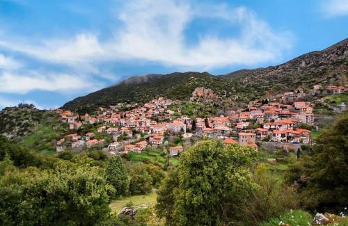 Trikolonoi Apartamento | Stemnitsa Stone Residence - Cosy Mountain Escape