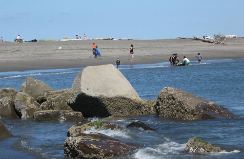 Ocean Shores Cabaña | A pasos de la playa y de las mascotas. ¡NO HAY UNA ESTANCIA MÍNIMA!