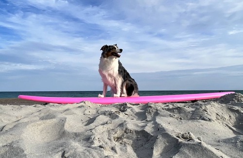 Emerald Isle Cabaña | Steps to Emerald Isle Beach w/ Curated Experiences