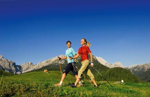 Annaberg im Lammertal Apartamento | Steuer 59 App 6 Annaberg