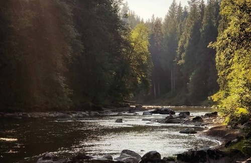 Lime Kiln Cabina | Steven's River Cabin - hot tub-beach-fireplace