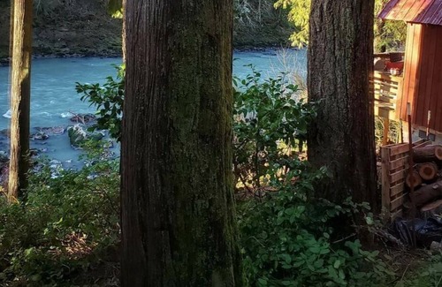 Lime Kiln Cabina | Steven's River Cabin - hot tub-beach-fireplace