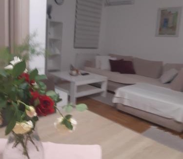 Smederevo Apartamento | Stil Apartman