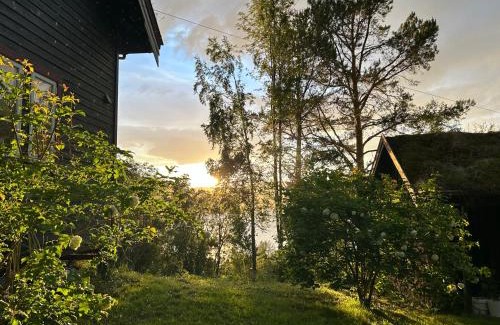 Valsoybotn Casa | Stille og fredelig ved fjord og fjell