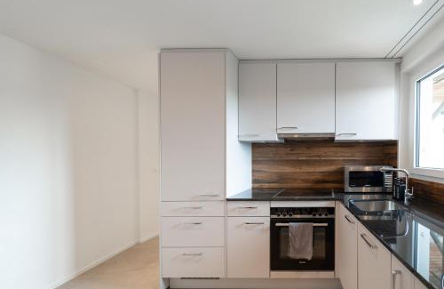 Winterthur Apartamento | Stilvolle Wohnung im Kanton Zürich!