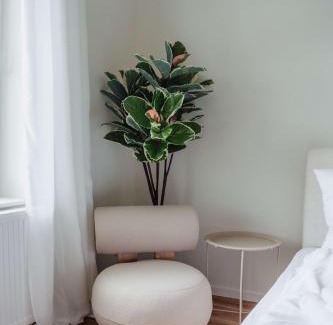 Celle Casa | Stilvolles Altstadt-Apartment mit Parkplatz - Ruhig & Zentral