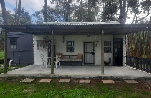 Elgin Apartamento | Stone Cottage